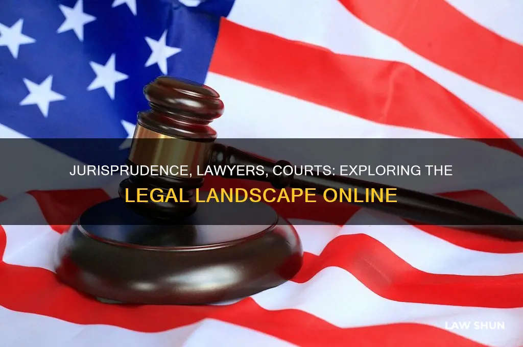is jurisprudence the law lawyers and the court a website