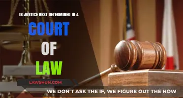 Justice in the Courtroom: Is Legal Judgment the Ultimate Determinant?