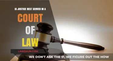 Justice in the Courtroom: Is Legal System the Ultimate Arbiter?