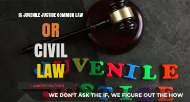 Juvenile Justice: Common or Civil Law?