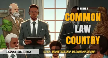 Kenya's Legal System: Common or Civil Law?