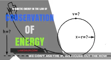 Kinetic Energy's Role in the Law of Conservation Explained