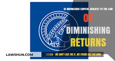 Does Knowledge Capital Face Diminishing Returns? Exploring the Limits