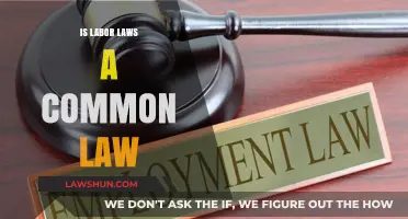 Labor Laws: Common Law or Not?
