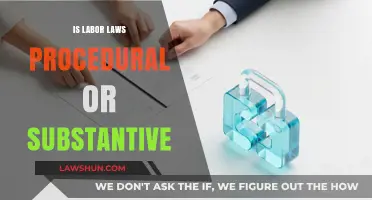 Labor Laws: Procedural Framework or Substantive Rights?