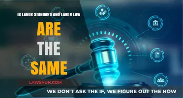 Labor Standards vs. Labor Laws: Understanding the Key Differences