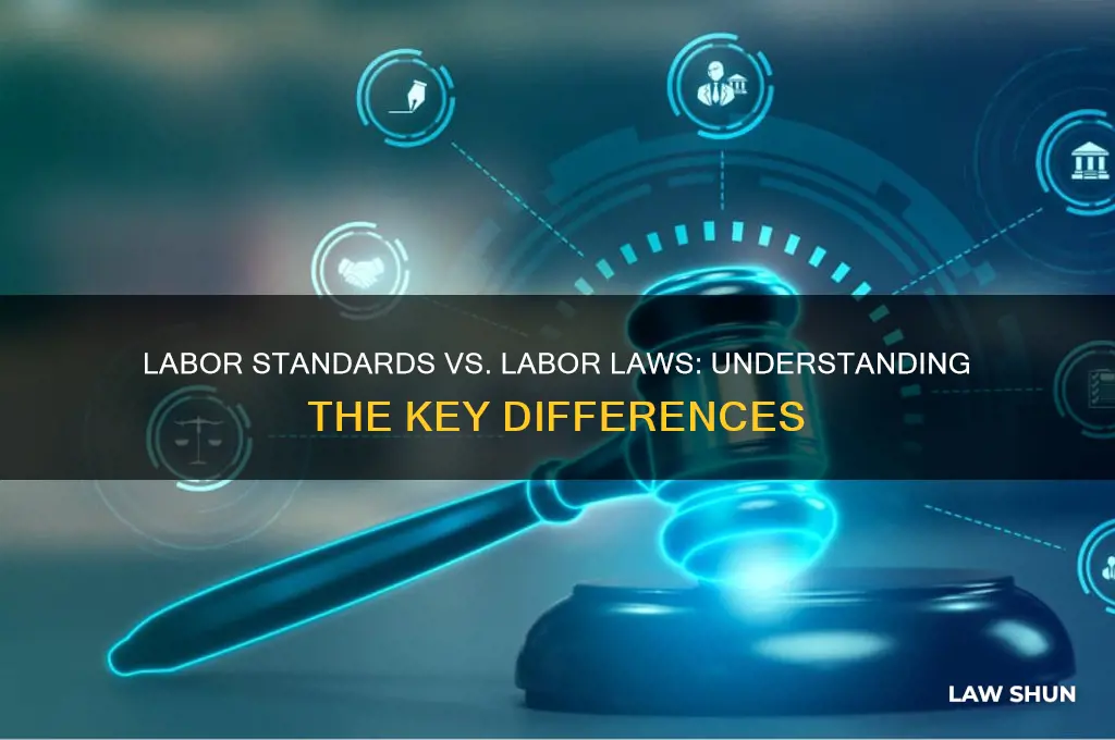 is labor standard and labor law are the same