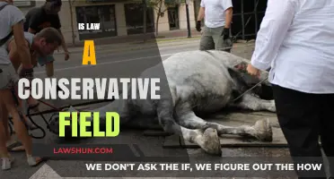 Is Law a Conservative Field? Exploring Tradition vs. Progress in Legal Practice