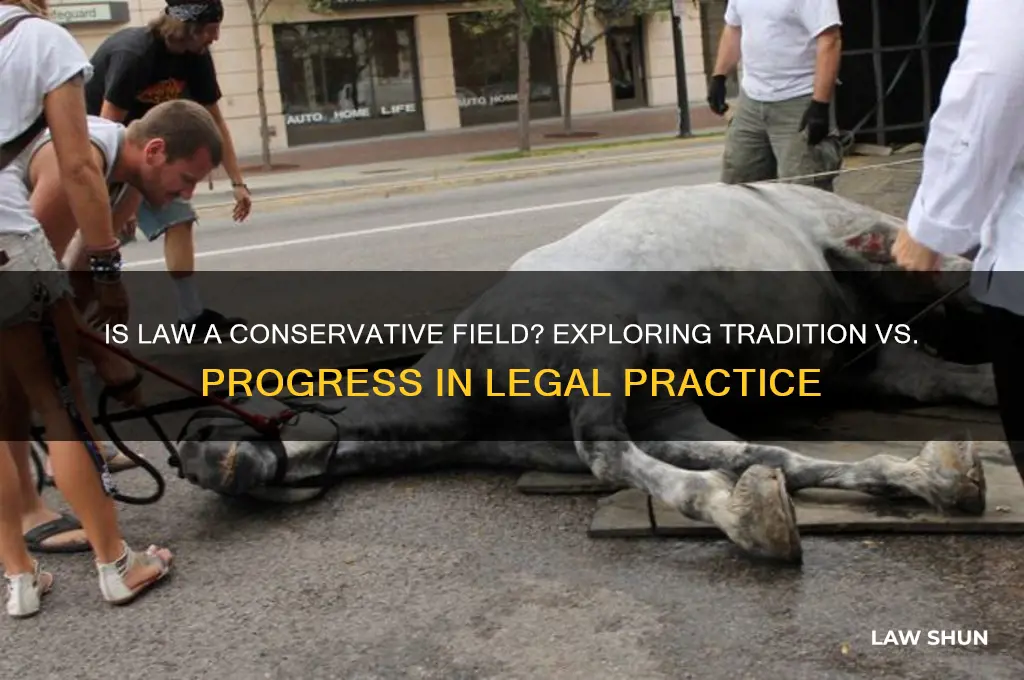 is law a conservative field