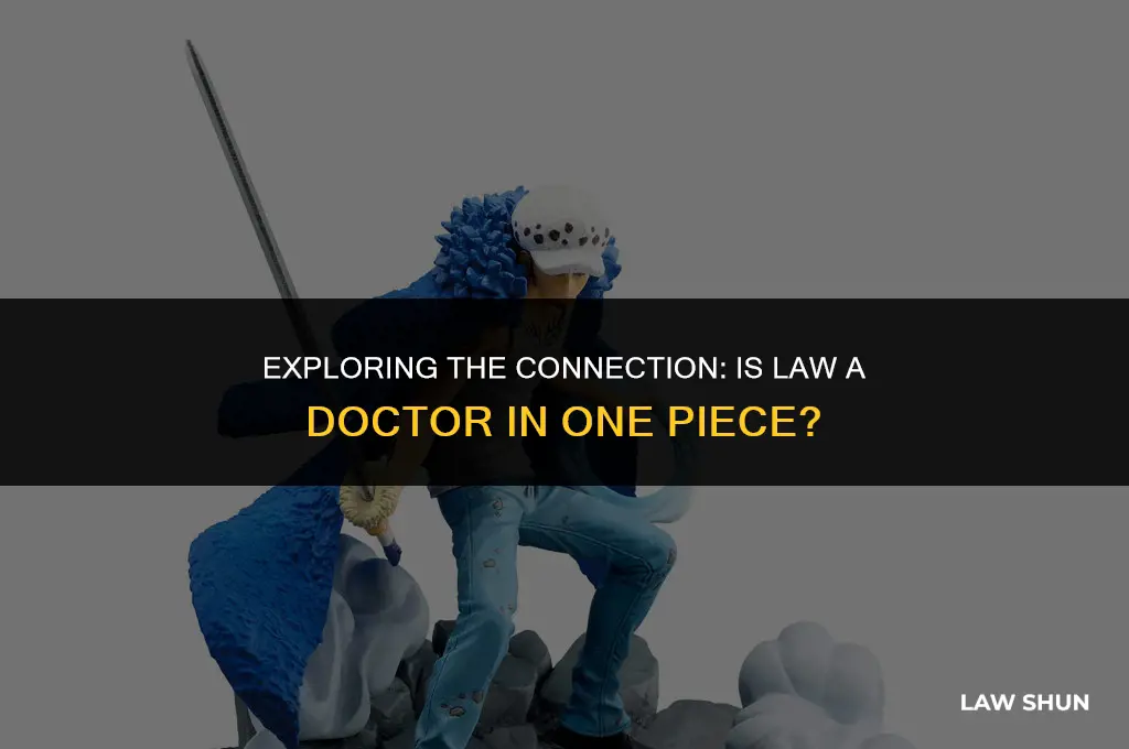 is law a doctor one piece