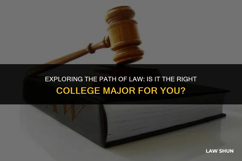 is law a major in college