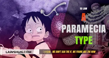 Is Law a Paramecia Type? Exploring Devil Fruit Powers