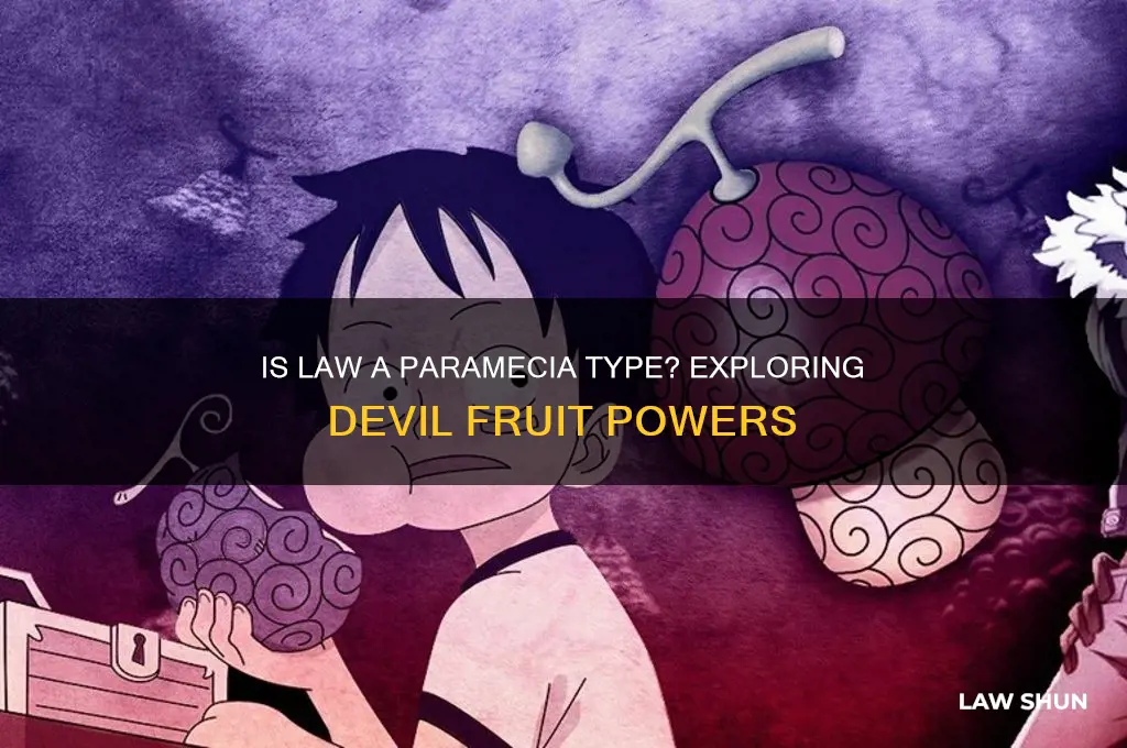 is law a paramecia type