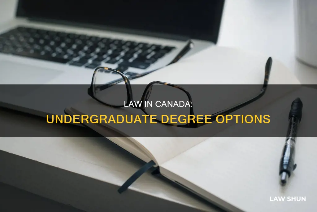 is law an undergraduate degree in canada
