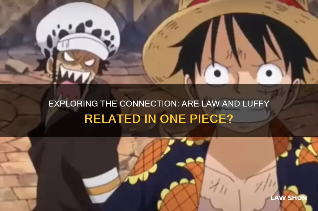 is law and luffy related