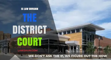 Understanding Law Division's Role Within the District Court System