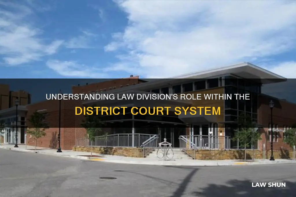 is law division the district court
