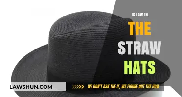 Exploring the Legal Landscape of Straw Hat Culture