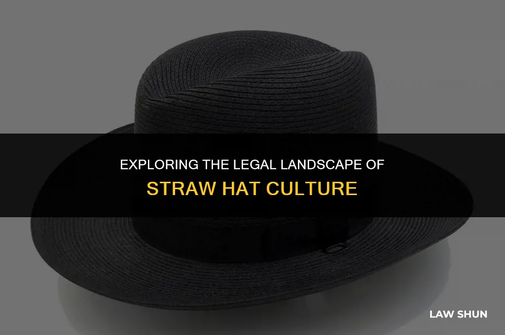 is law in the straw hats