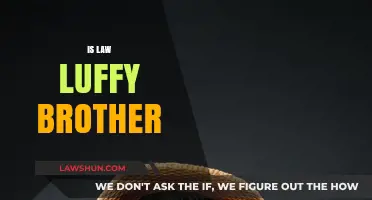 The Mystery of Luffy's Brother: Is it Law?