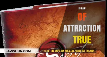 Is the Law of Attraction Real? Exploring the Science and Myths