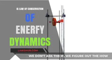 Exploring the Dynamics of Energy Conservation: Is the Law Universal?