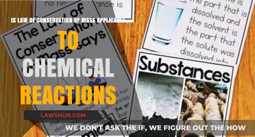 Exploring the Law of Conservation of Mass in Chemical Reactions