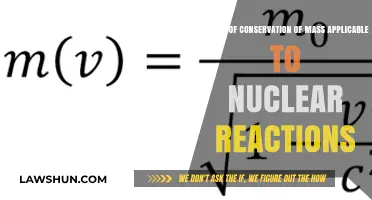 Does Conservation of Mass Hold True in Nuclear Reactions?