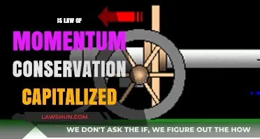 Is the Law of Momentum Conservation Capitalized? A Grammar Guide