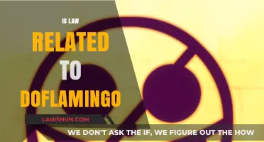 Exploring the Legal Themes in Doflamingo's Storyline: A Deep Dive