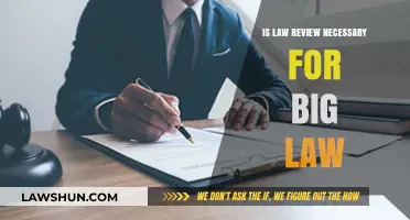 Is Law Review Essential for Big Law Success?