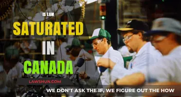Law Job Market in Canada: Is It Saturated?