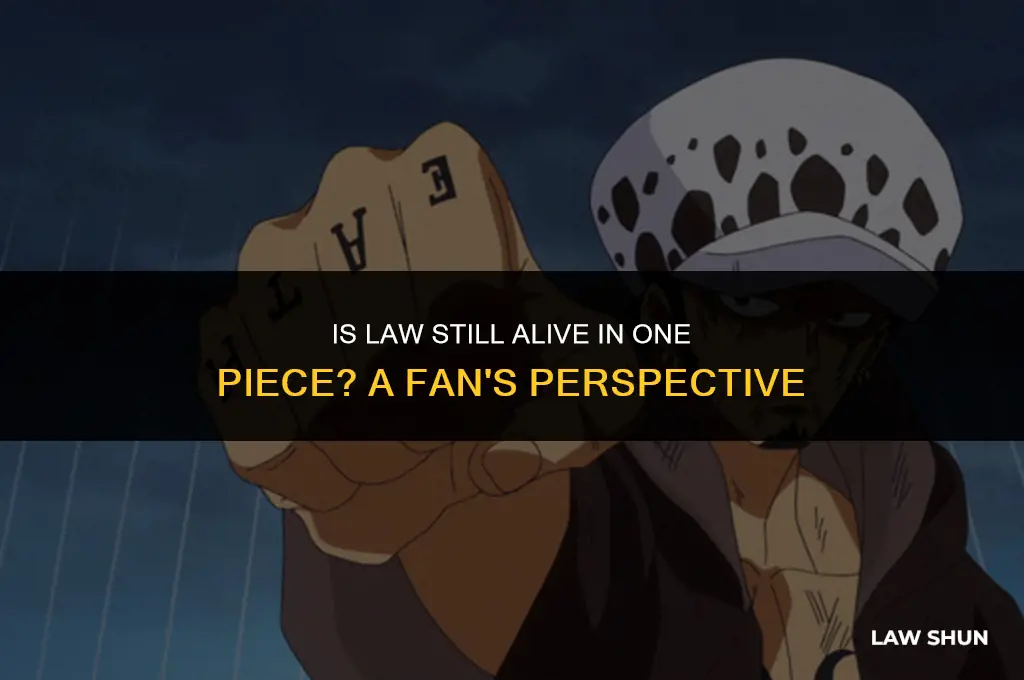 is law still alive one piece