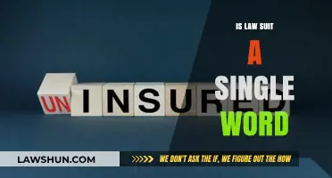 Is Law Suit One Word or Two? Clearing Up the Confusion