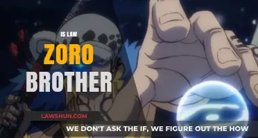 Law's Brotherly Bond: Is Zoro His Kin?