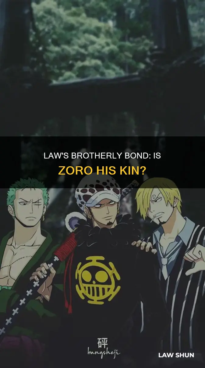 is law zoro brother