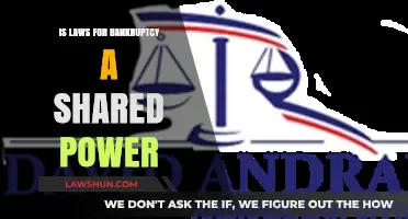 Bankruptcy Laws: Shared Federal-State Power or Exclusive Authority?