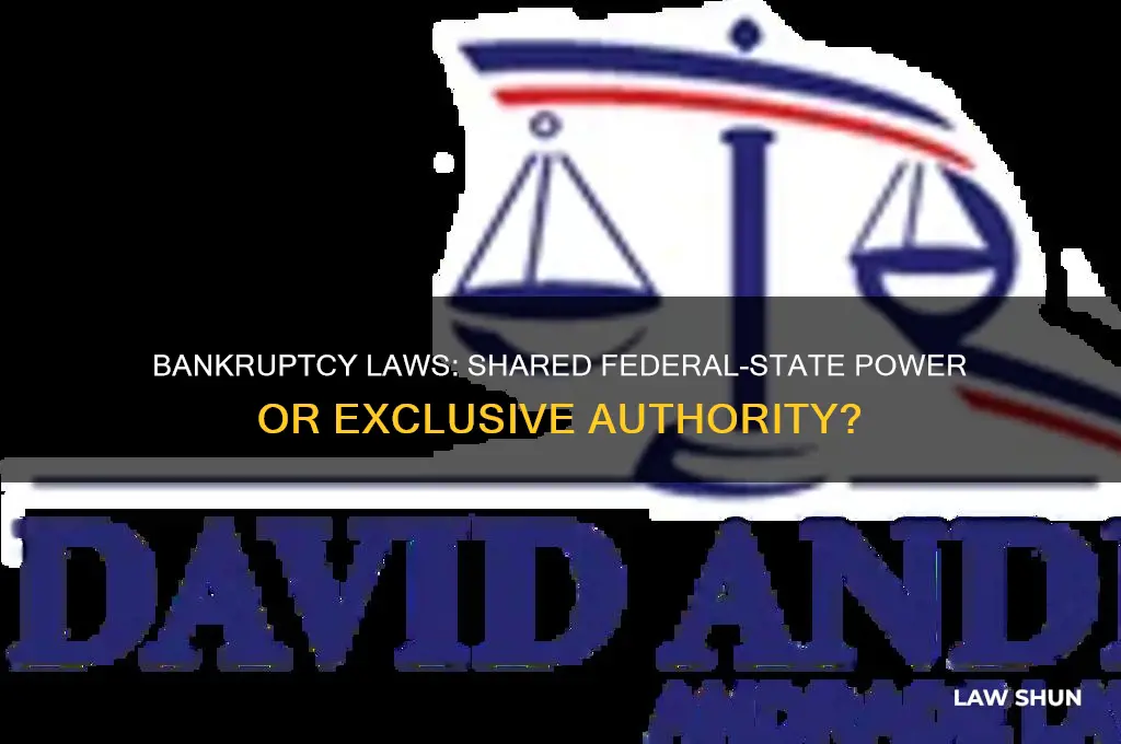 is laws for bankruptcy a shared power