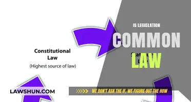 Legislation and Common Law: What's the Difference?