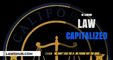 Is Lemon Law Capitalized? Understanding Legal Terminology Basics