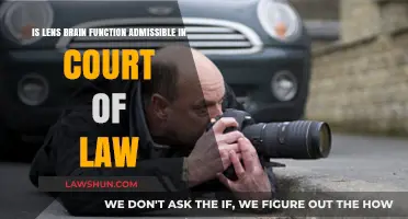 Lens Brain Function Evidence: Admissible in Court or Legal Gray Area?