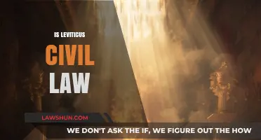 Is Leviticus Civil Law? Exploring Ancient Texts in Modern Context