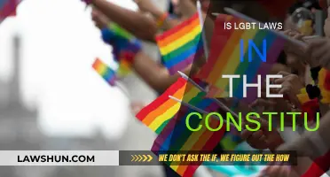 Constitution's Take on LGBT Laws