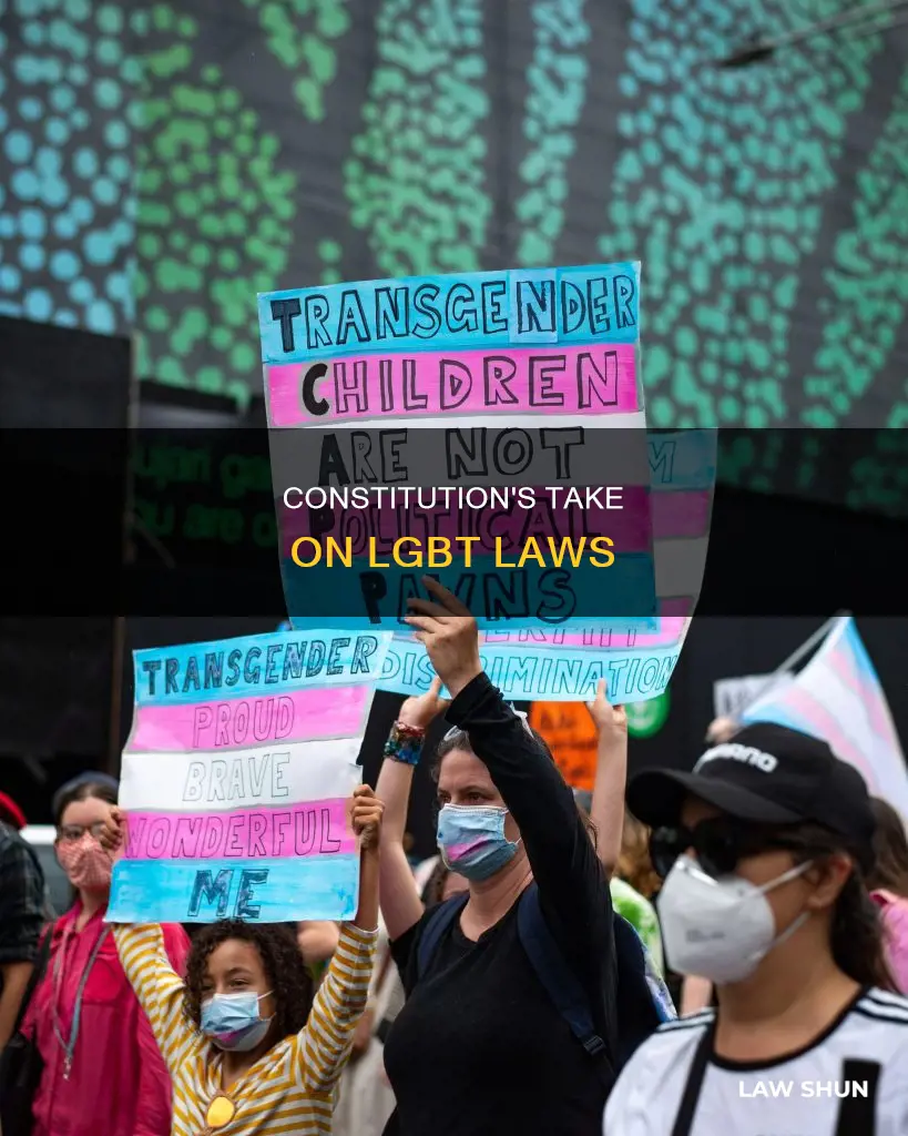 is lgbt laws in the constitution