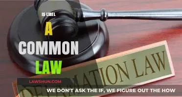 Libel Law: Understanding the Complexities of Defamation