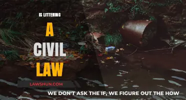 Is Littering a Civil Offense? Legal Insights and Consequences
