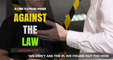 Is Lying to Police Illegal? Understanding the Legal Consequences