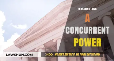 Is Making Laws a Concurrent Power? Exploring Federal and State Authority