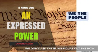 Is Making Laws an Expressed Power? Exploring Constitutional Authority