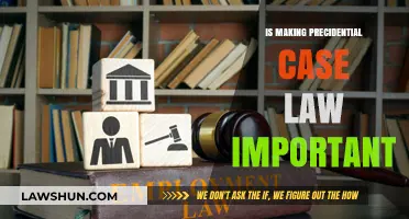 Why Presidential Case Law Matters